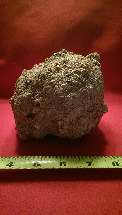 Enter your image caption here