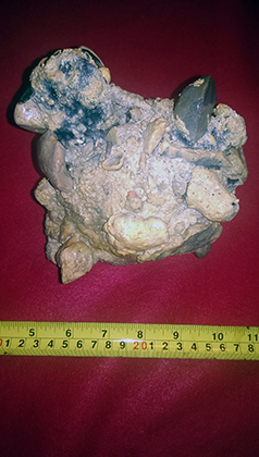 Enter your image caption here