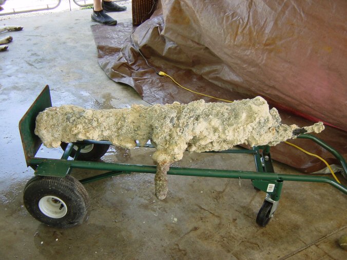 Enter your image caption here