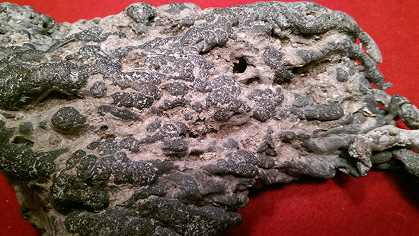 Enter your image caption here