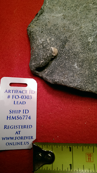 Enter your image caption here