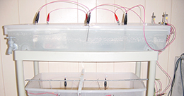 Describe the photo or the page it links to