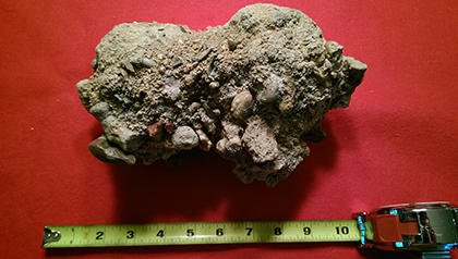 Enter your image caption here